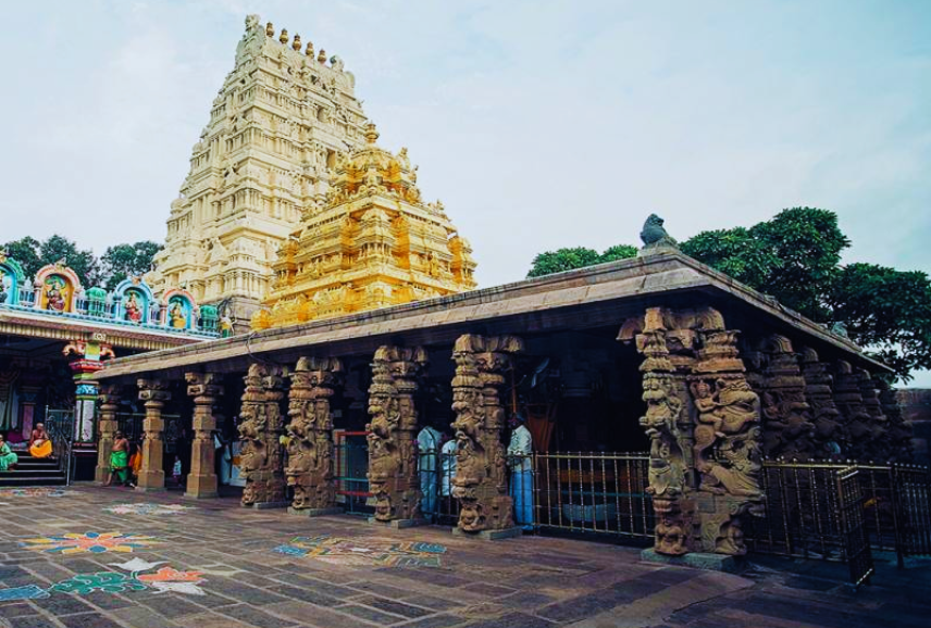 Untitled design - 2024-05-17T135010.917