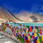 Untitled design - 2024-06-19T110934.205