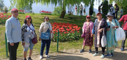 Untitled design - 2025-04-16T185532.584